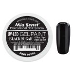 Paint Gel Negro 5gr Mia Secret